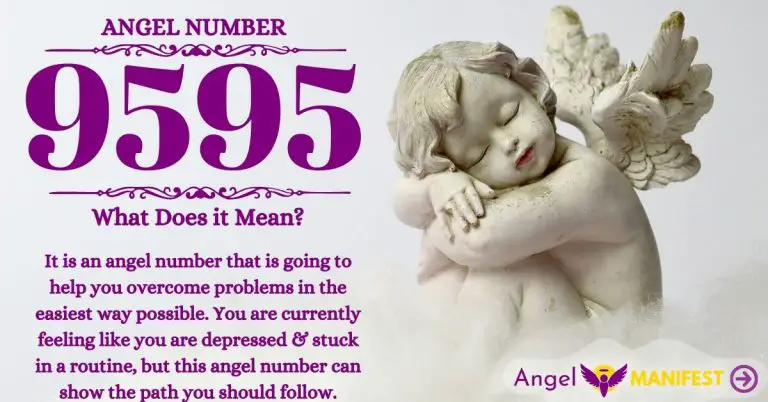 Numerology number 9595