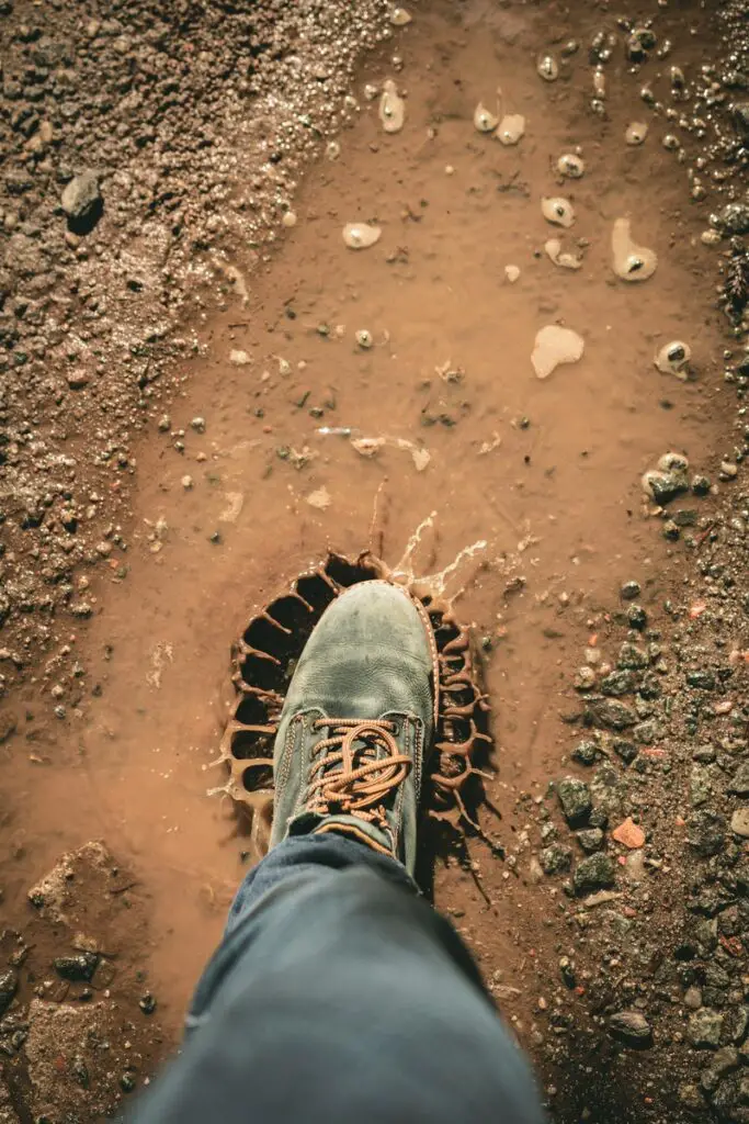 Man Wearing Gray Shoe Standing on Brown Soil dream