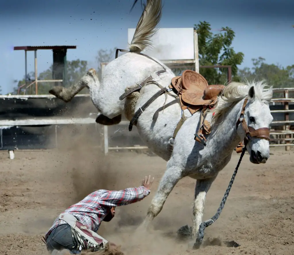 White Horse Kicking While Man on Ground accident dream