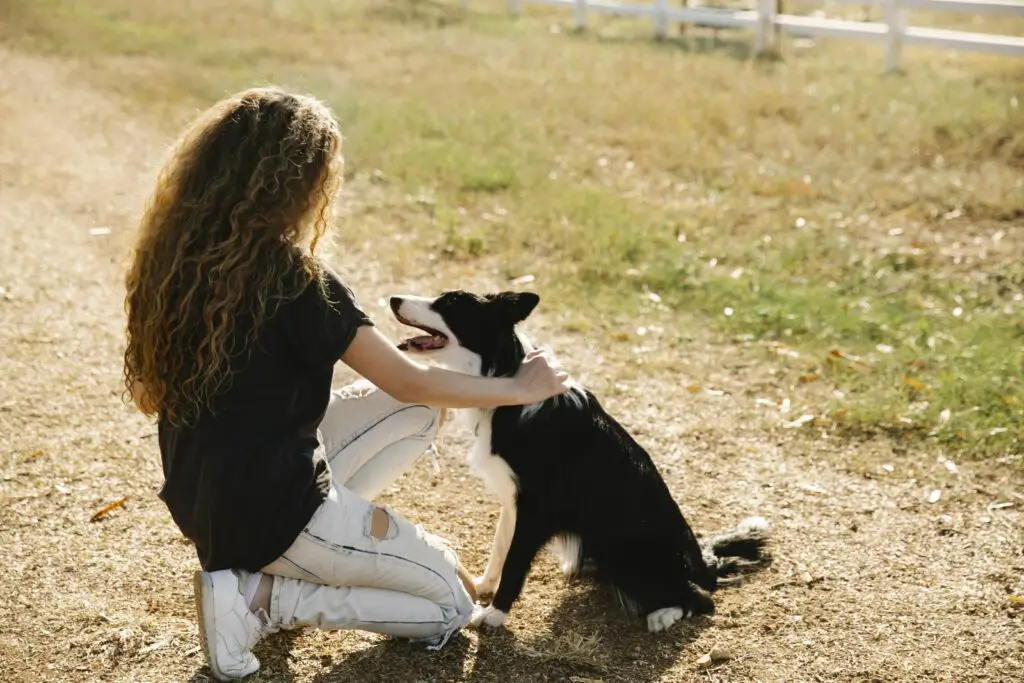 A Woman and her Dog on a Rural Dirt Road dream