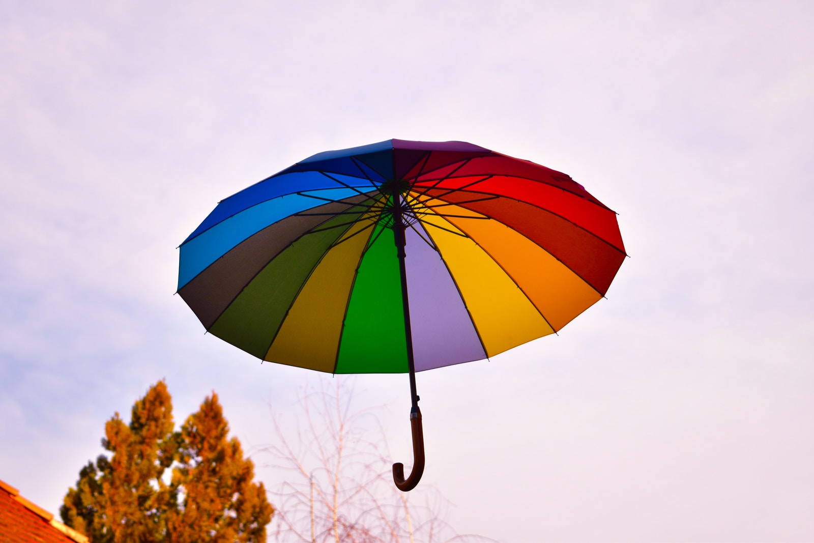 22 Spiritual Meanings of Umbrella Umbrella Dream Symbolism