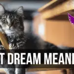 cat meow dream interpretation Islam bible Hindu meaning