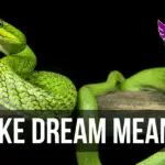 snake dream interpretation Islam bible Hindu meaning