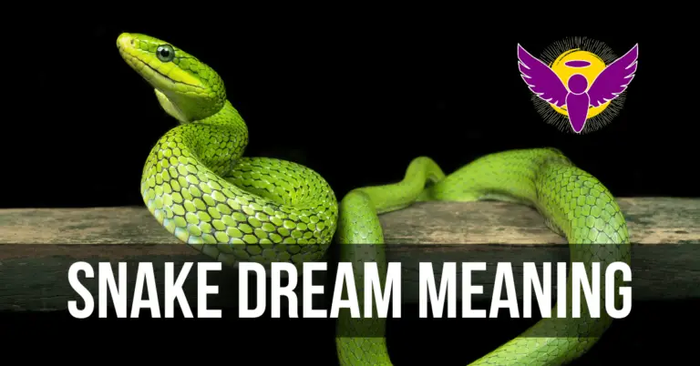 snake dream interpretation Islam bible Hindu meaning