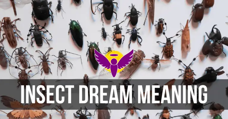 insect dream interpretation Islam bible Hindu meaning