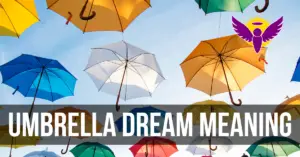 umbrella dream interpretation Islam bible Hindu meaning