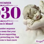 numerology number 2030