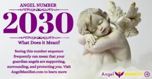 numerology number 2030