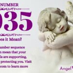 numerology number 2035