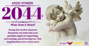 numerology number 2044