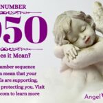 numerology number 2050