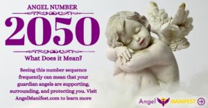 numerology number 2050