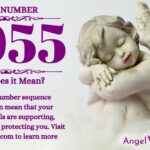 numerology number 2055