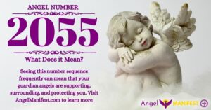 numerology number 2055