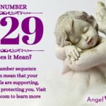numerology number 2129