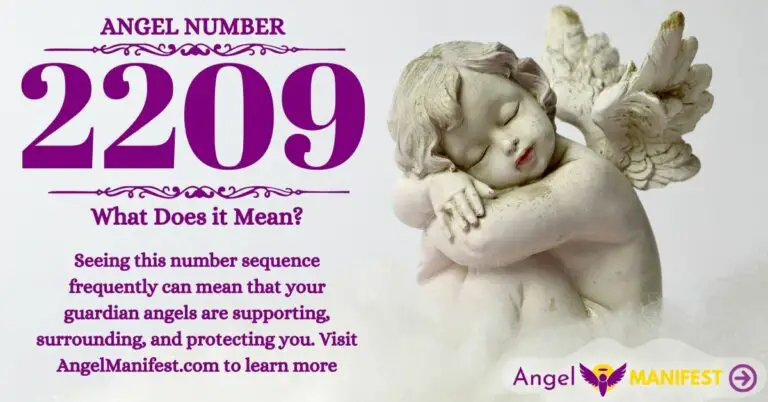 numerology number 2209