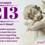 numerology number 2213