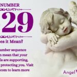 numerology number 2229
