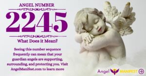 numerology number 2245