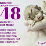 numerology number 2248