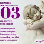 numerology number 2303