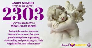 numerology number 2303