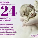 numerology number 2324
