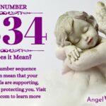 Numerology number 2334