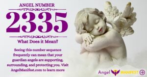 Numerology number 2335