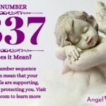 Numerology number 2337