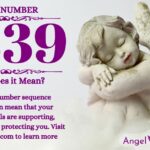 Numerology number 2339