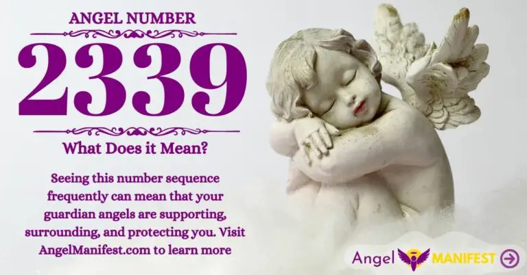 Numerology number 2339