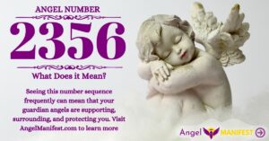 Numerology number 2356