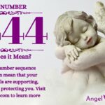 Numerology number 2444