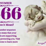 numerology number 2666
