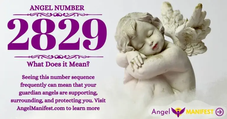 numerology number 2829