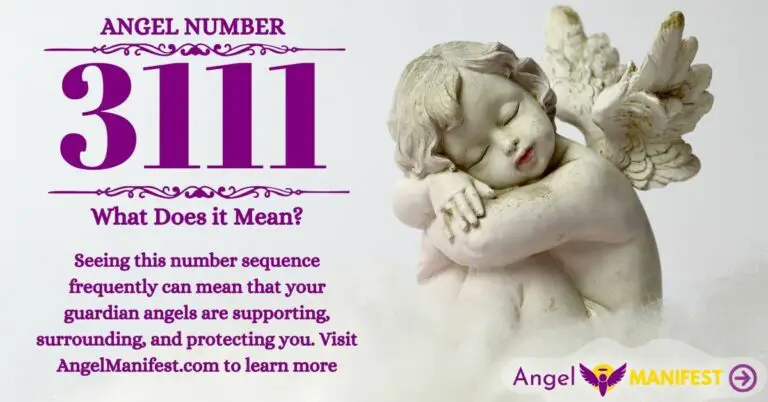 numerology number 3111