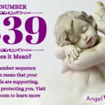 numerology number 3339