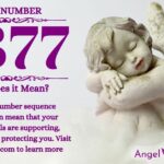 numerology number 3377