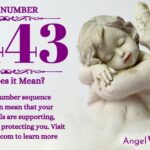 numerology number 4443