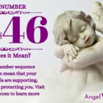 numerology number 4446