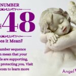 numerology number 4448
