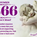 numerology number 4466