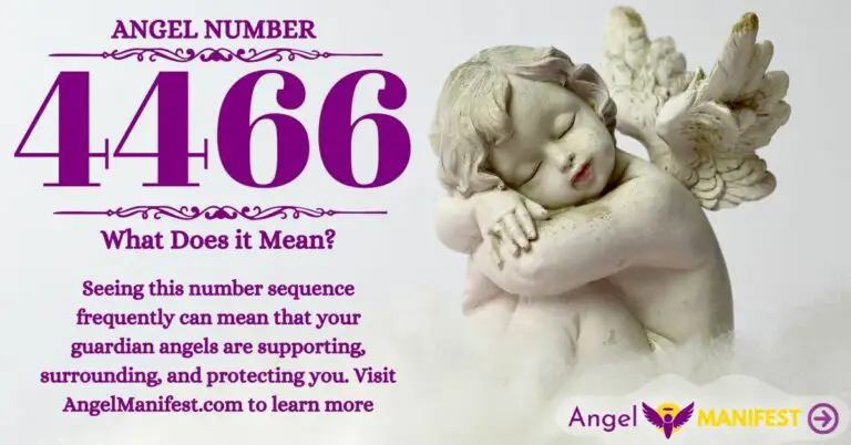 numerology number 4466