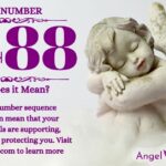 numerology number 4488