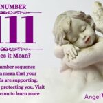 numerology number 5111