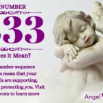 numerology number 5333