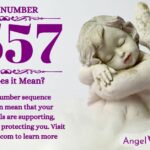 numerology number 5557