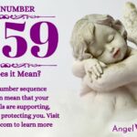 numerology number 5559