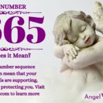 numerology number 5665